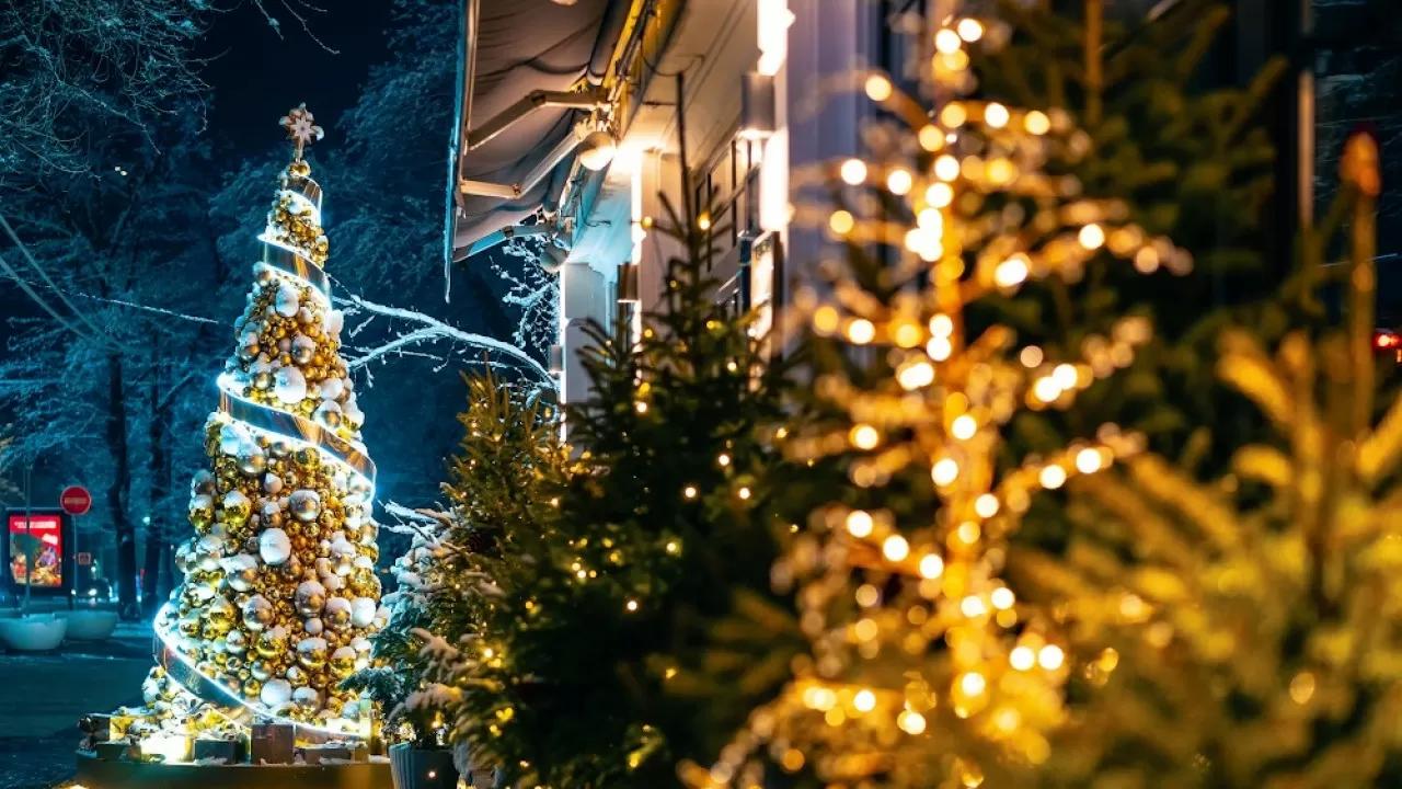 Millions for Christmas Trees: How Much Are Regions Planning to Spend on New Year Decorations?