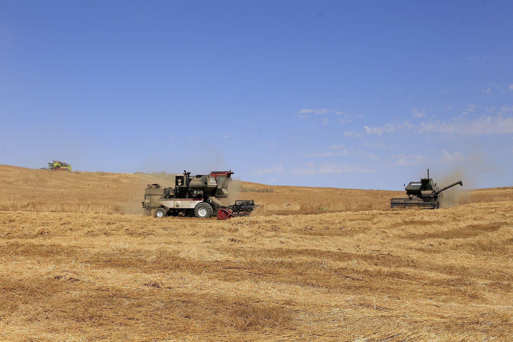 The harvest is failing – the deputy reached out to Serik Zhumangarin for assistance.