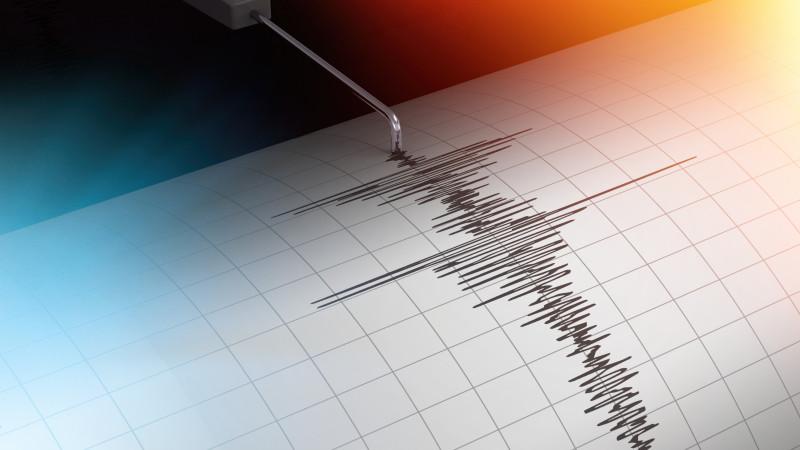 A powerful earthquake struck Japan.