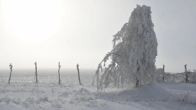 Метеорологи предупредили о сильном снегопаде и метелях в нескольких регионах страны и в Астане.