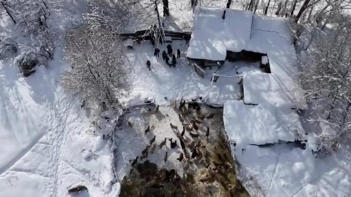 A large shipment of marijuana was seized in the Zhetisu region.