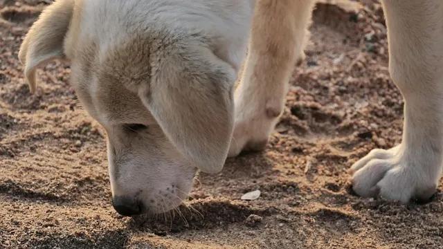 Ақтобеде мектепке бара жатқанда бірінші сынып оқушысы қайтыс болды: баланың әкесі қайғылы оқиғаның жай-жапсарын айтты.